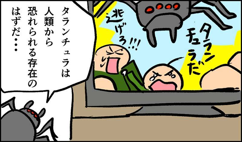 タランチュラの飼育　タランチュラってどんな生き物？
