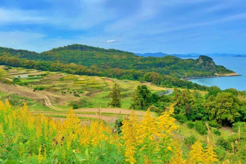 中山間地域の空き家は地域のニーズや特色を引き出すことが重要