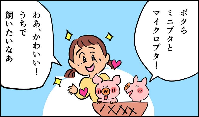 ブタはペットとして飼育できる？ 賃貸で飼うときの注意点