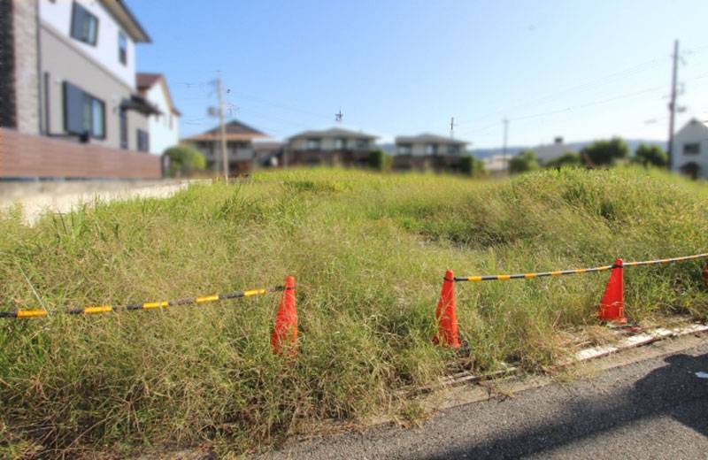 相続土地国庫帰属制度、ガチンコ勝負3年半。どうなってしまうのか？
