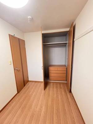 衣装ケース付きクローゼット