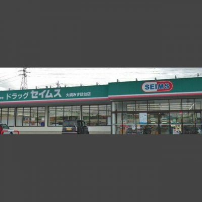 ドラッグセイムス 大網みずほ台店