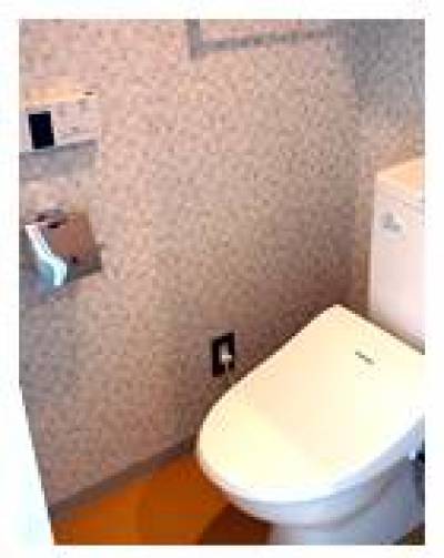 自動開閉式ウォシュレット