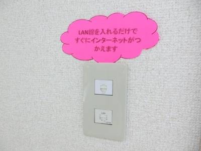 LAN線を入れてもネット利用可