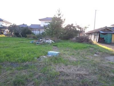 庭もとても広いので工夫次第ではドッグランにも！