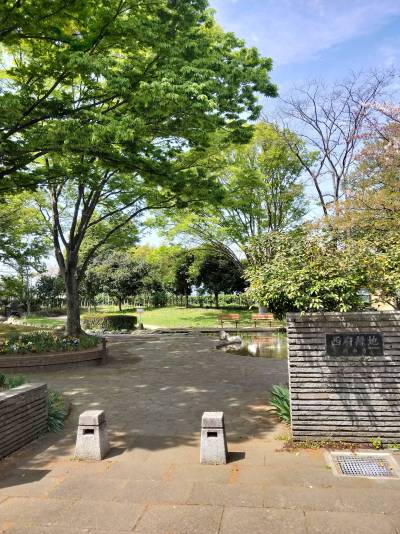 近くには公園多くあります