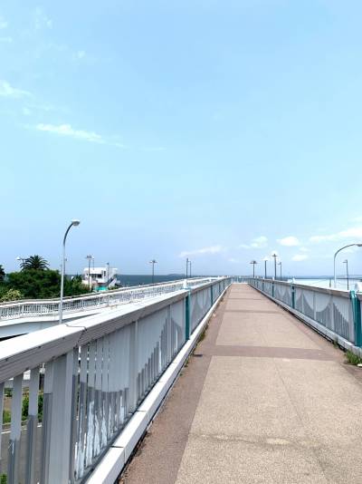 海が見えます
