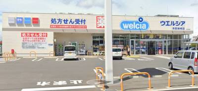 ドラッグストアも近くて便利！