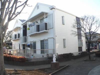 白に濃いこげ茶色です　中庭から。 1階は、庭がつきます