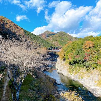 近くに流れる川はまさに清流です（秋）