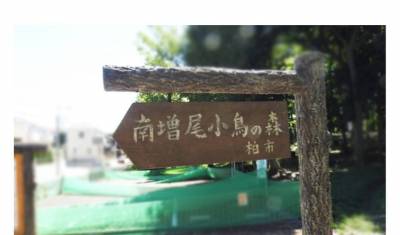 徒歩3分。小鳥の森。バードウォッチングや愛犬とのお散歩にも♫