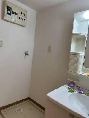 室内洗濯機置き場あり。洗面所