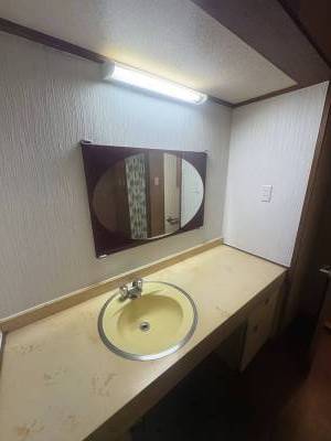 謎にゴージャス感のある洗面所