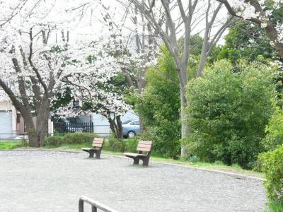 閑静な住宅地、花見も
