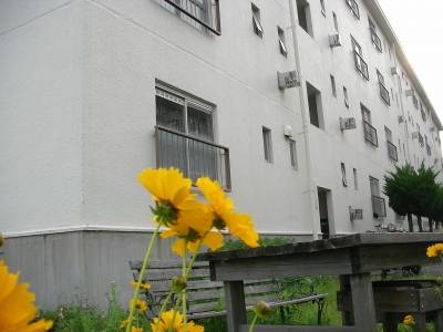 隣が公園で、公園に住む感覚。