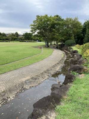 日野中央公園が近い♪芝生広場と人工の小川♪
