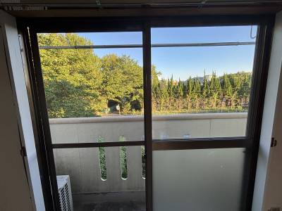 ベランダの眺望です。のどかで癒されます。