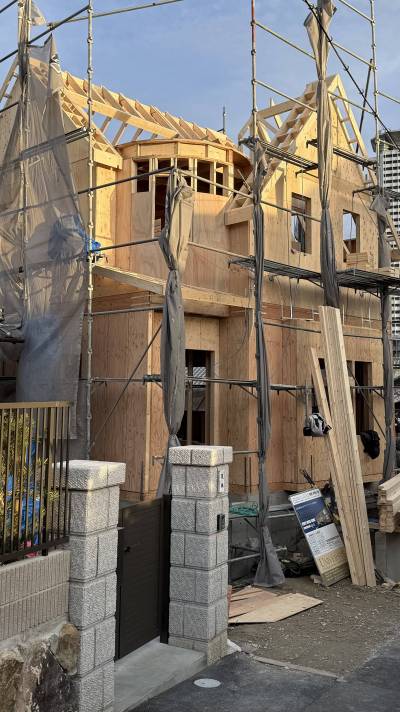 【骨格が出来上がってきました】