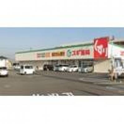 スギ薬局　今福店　徒歩2分