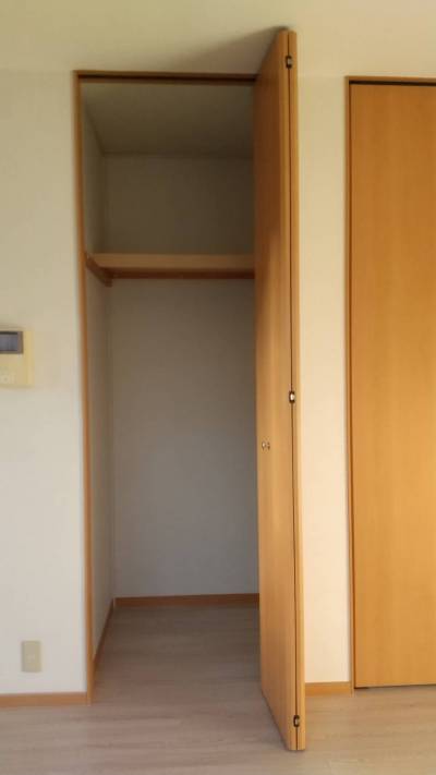 洋室にクローゼットが二つあり、そのうちの一つです。