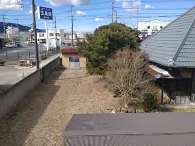 庭の百日紅（サルスベリ）が綺麗なピンク色のお花を咲かせます♪