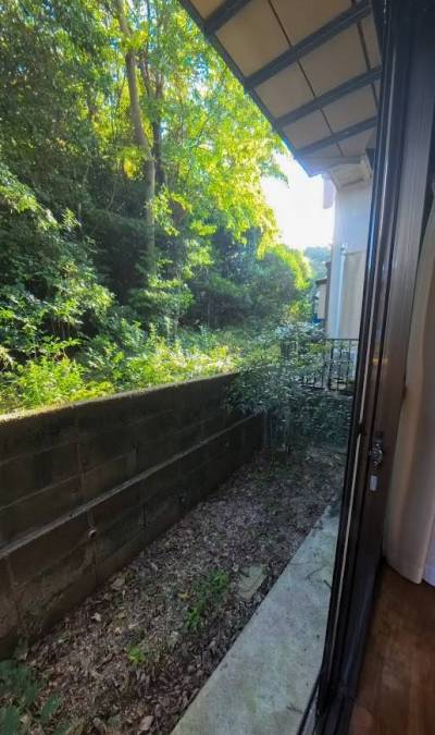 お庭で家庭菜園もできます。