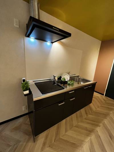 システムキッチンに新調しています。