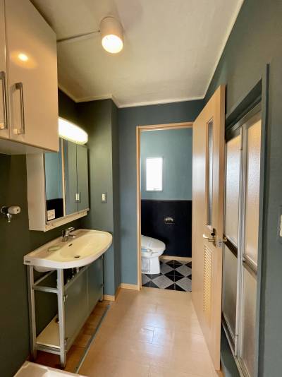 洗濯機置き場の上にも扉つき収納。洗面収納に曇止ガラス