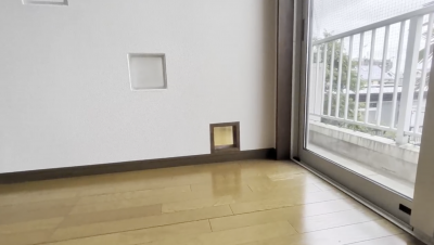 猫用の特別通路