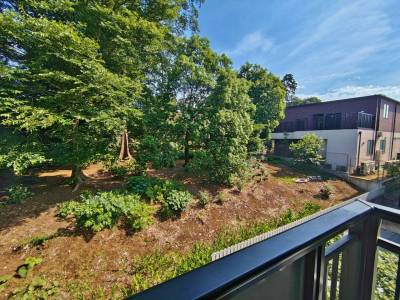 201号室からの眺望　この下のお部屋です