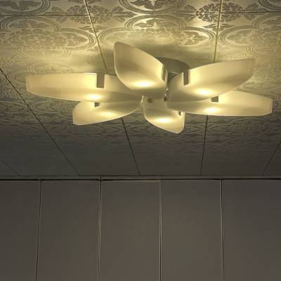 今や貴重なタイプの花びら天井灯がLEDでお出迎え