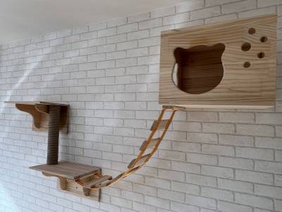 キャットウォーク