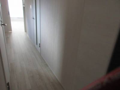 玄関からは靴や台所など、生活感は一切見えません。