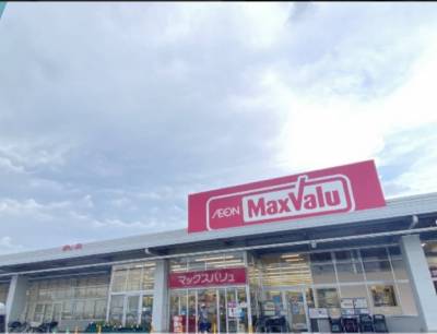 駅周辺に、スーパー、ドラッグストアー