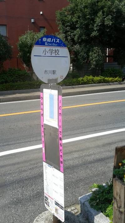 バス便多数の松戸線、バス停至近