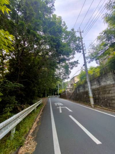 近隣の道です。おとしよりぐるりんタクシーが巡回しています。