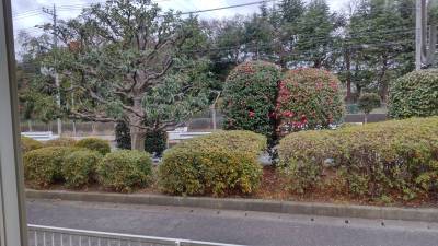 窓からの眺めはまるで庭園。癒してくれます！