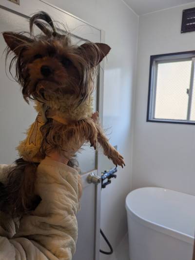 オシャレなお風呂です♪