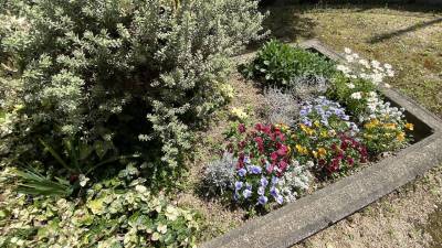 裏庭の花壇です。内覧時にお部屋と一緒に見てください。