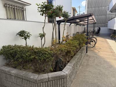 明るく広々駐輪場