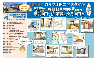 マイソクです。おススメポイントをまとめました。