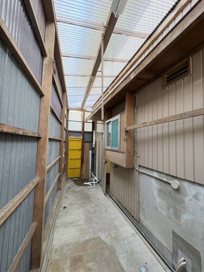 雨の日も洗濯干せて便利