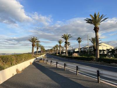 少し歩くと海外のような景色が。散歩に最高です
