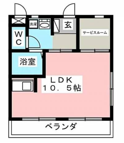 日当たりの良い、納戸付きの部屋。