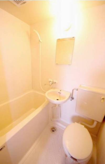 シャワーカーテンプレゼント