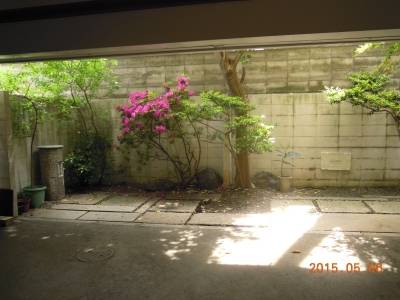 １階　東の奥の庭