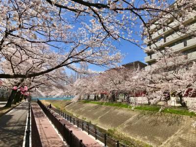 建物前の遊歩道。絶好の散歩コースです♪