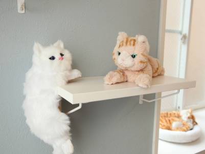 猫ちゃん２匹まで飼育できます！