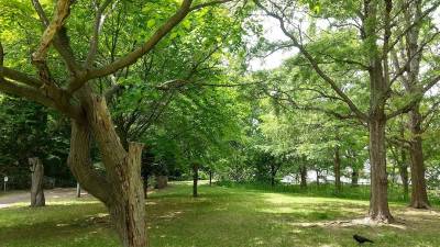 精進河畔公園まではわずか徒歩２分。春には桜がたくさん。