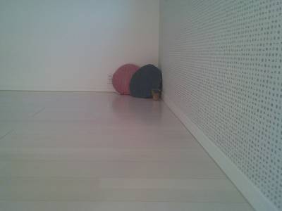 ６帖大のロフト